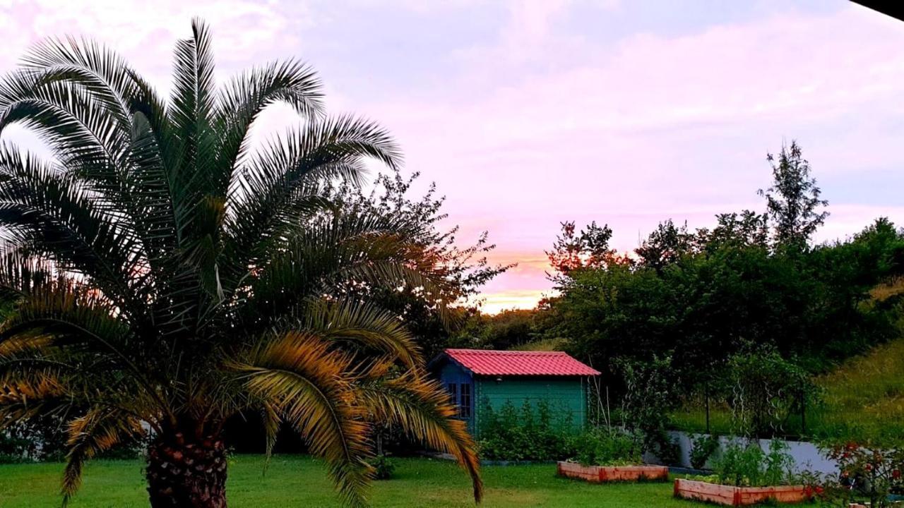 Villa Libellule Cenac ภายนอก รูปภาพ